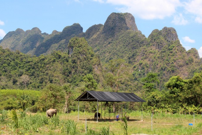 Im Dschungelcamp In Thailand: Khao Sok Nationalpark | Black Dots White ...