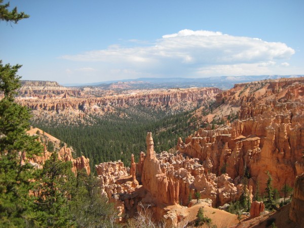 Die roten Türme des Bryce Canyon