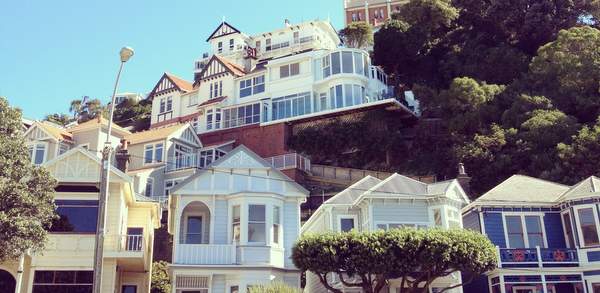 Wellington: weitab und wunderbar