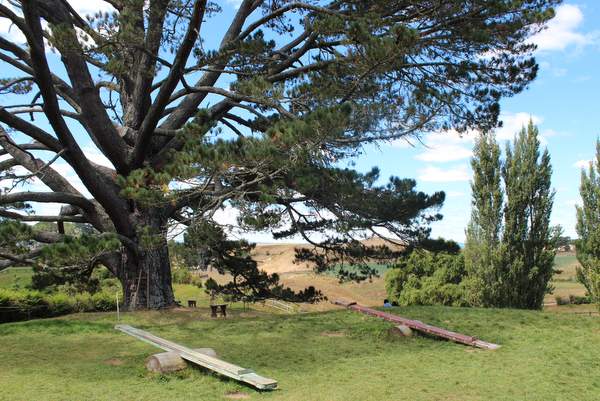 Partyeiche in Hobbiton