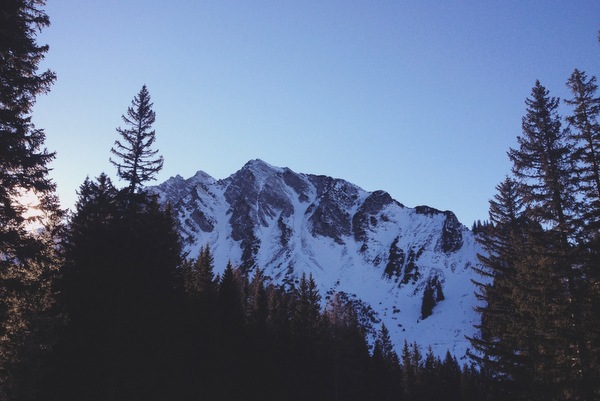 Back to the roots in Tirol
