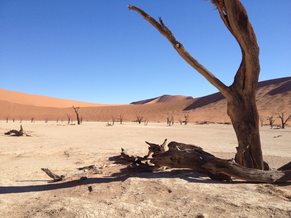 Sossusvlei – Namibias Gebirge aus Sand