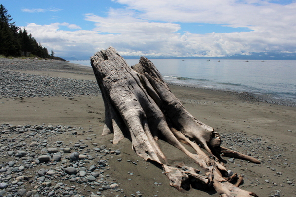 Strand Sooke Vancouver Island