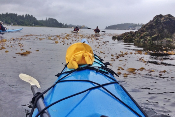 Sea kayaking barkley sound ucluelet pacific rim Sea kayaking barkley sound ucluelet pacific rim