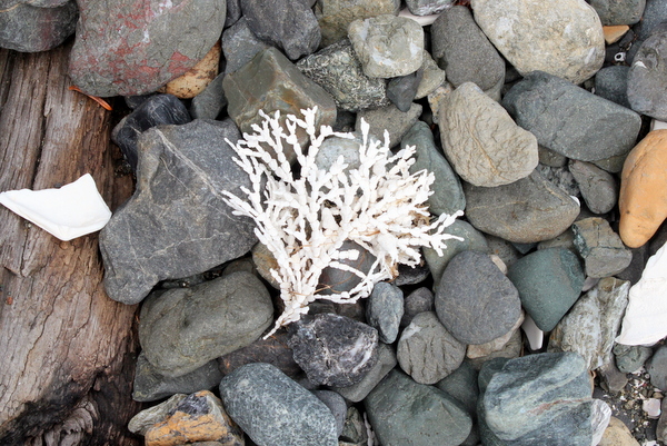 Strand Ucluelet Vancouver Island Kanada Strand Ucluelet Vancouver Island Kanada Barkley Sound