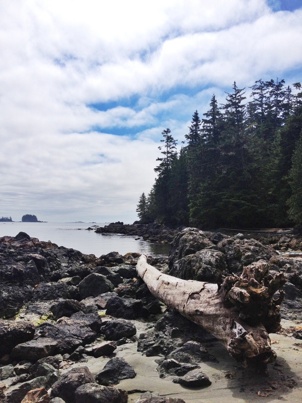 Westküste Vancouver Island Ucluelet Westküste Vancouver Island Ucluelet Kajaken Insel
