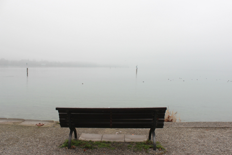 Bank Ufer Bodensee Konstanz Bank Ufer Bodensee Konstanz