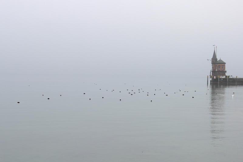 Bodensee im Nebel