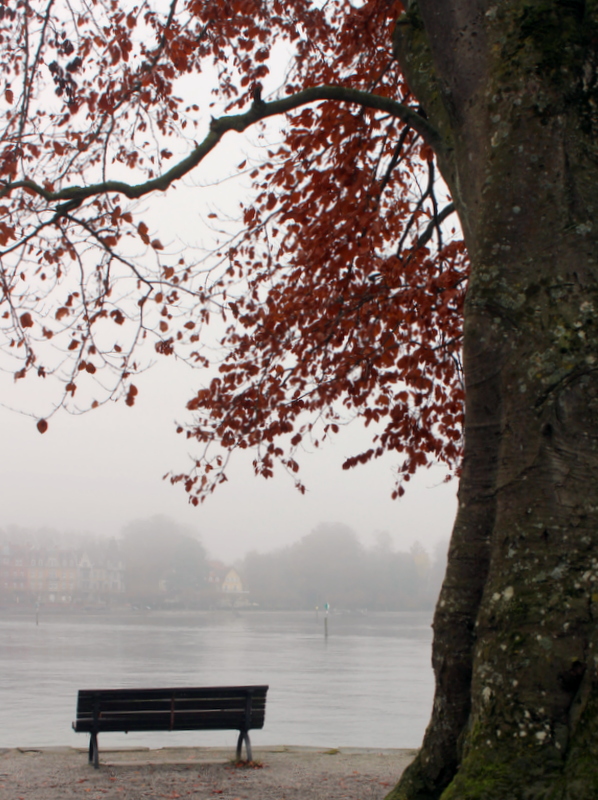 Bodenseeufer Konstanz im Herbst Bodenseeufer Konstanz im Herbst