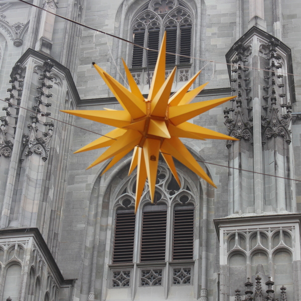 Weihnachtsstern Münster Konstanz