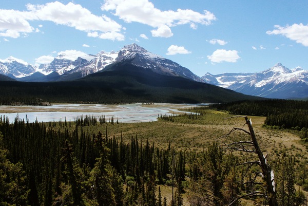 Howse Pass Rockies Kanada Howse Pass Rockies Kanada
