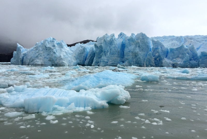 Gletscher See mit Eisbergen Patagonien Grey Glacier