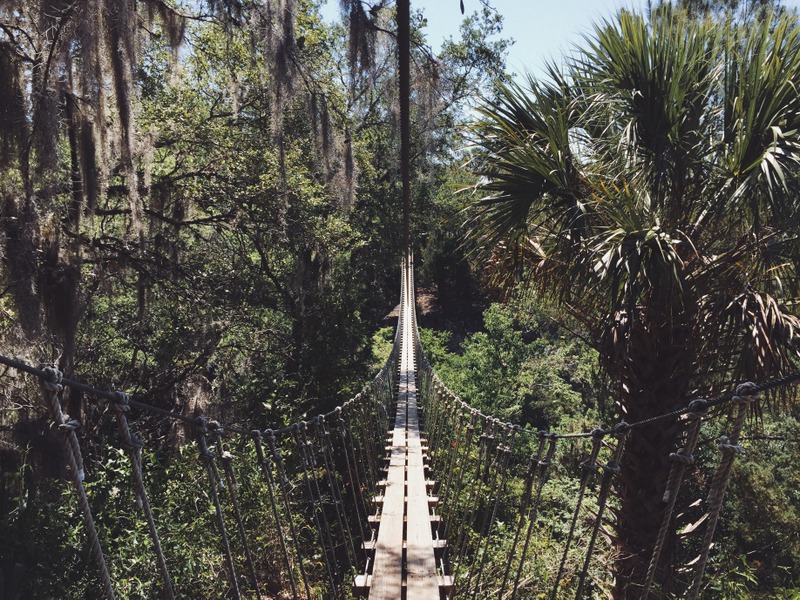 Hängebrücke Zipline Ocala Florida Outdoor Adventure Aktivurlaub Aktivitäten Tour Action Tipps