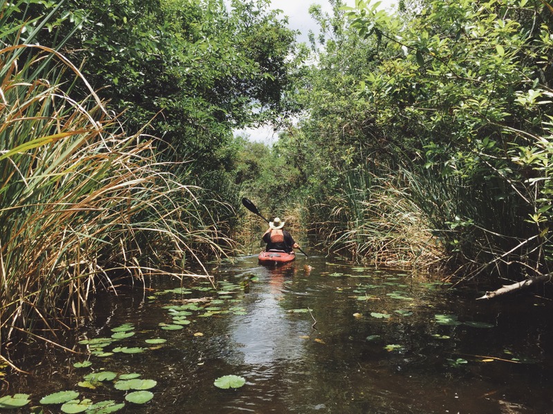 Kajaktour Everglades paddeln
