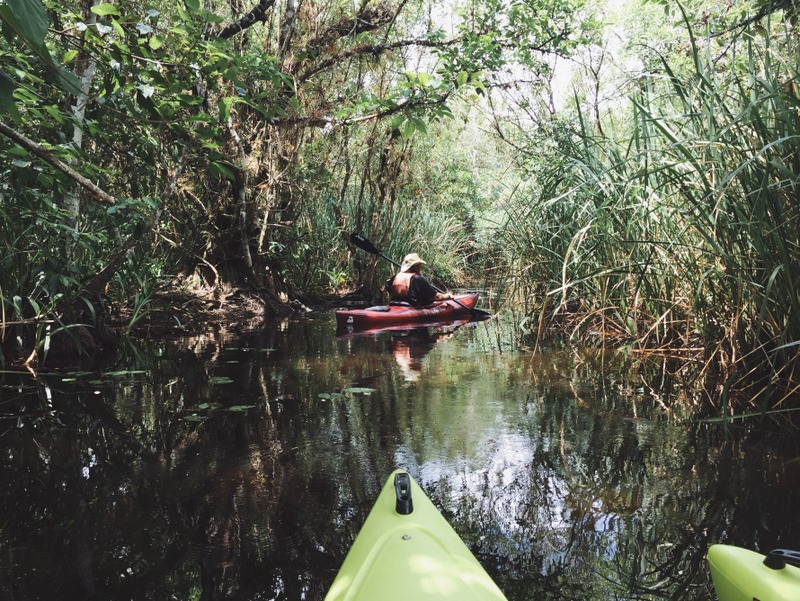Kajaktour Everglades Florida