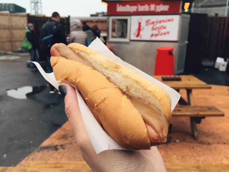 Bester Hot Dog Island Reykjavik