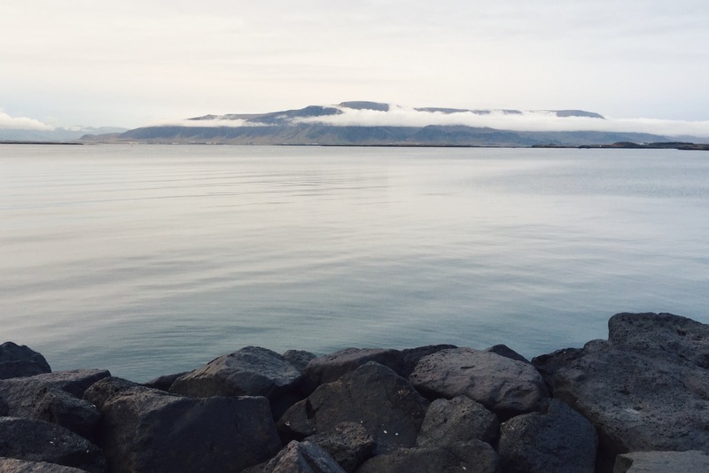 Reykjavik Ufer Hafen Tipps