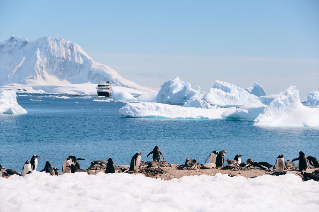 Reise in die Antarktis: Mit dem Schiff ans weiße, eisige Ende der Welt