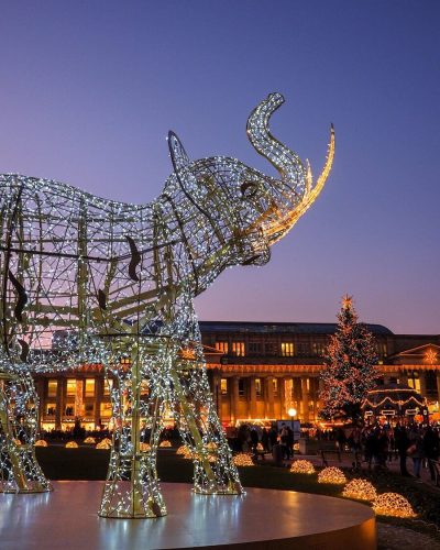 Glanzlichter Stuttgart Elefant Wilhelma