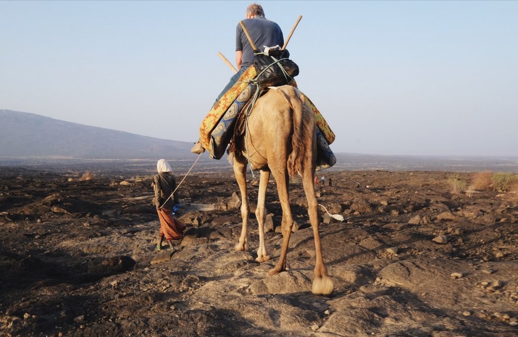 Erta-Ale-Danakil-Besteigung-Kamel