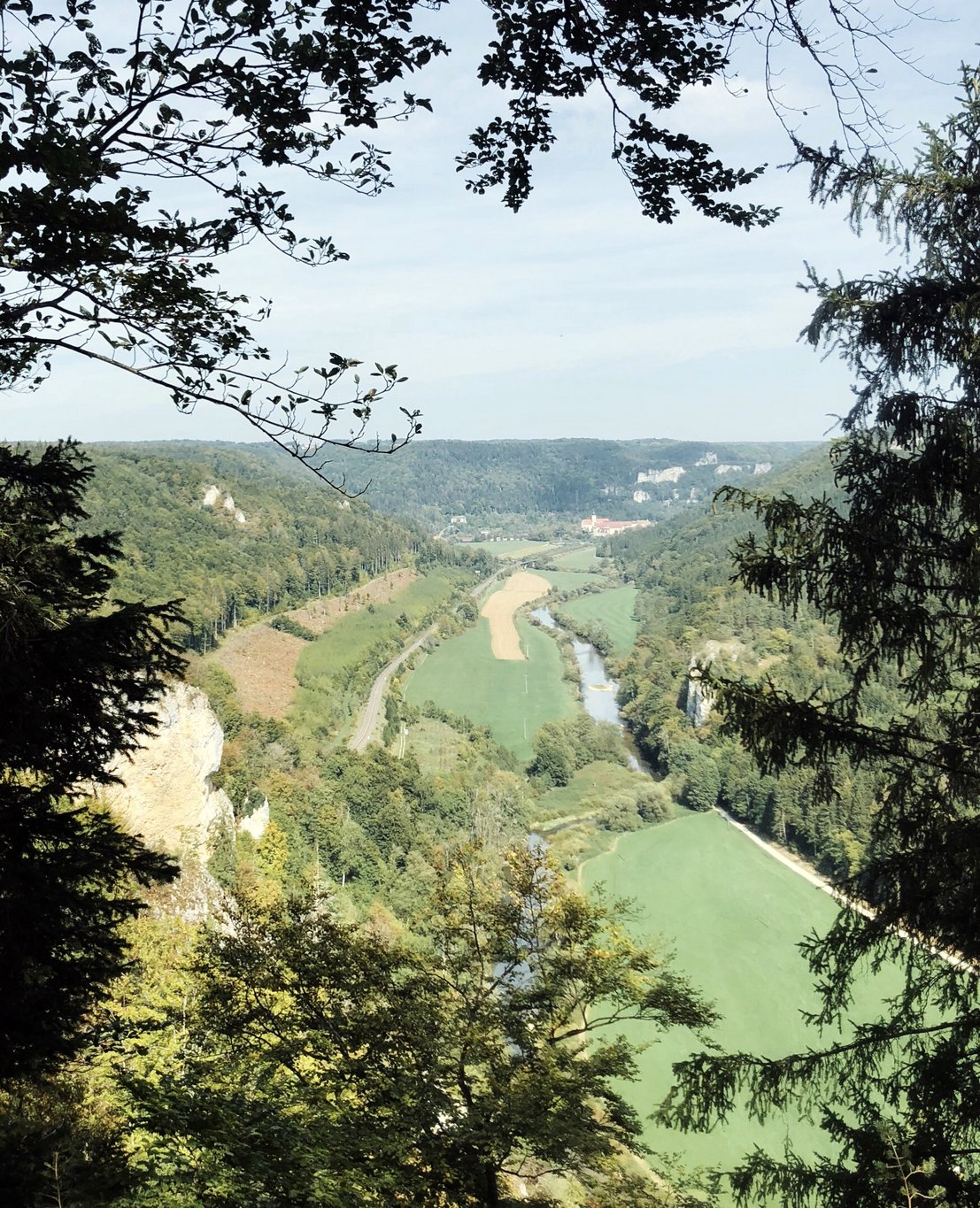 Donautal-Knopfmacherfelsen