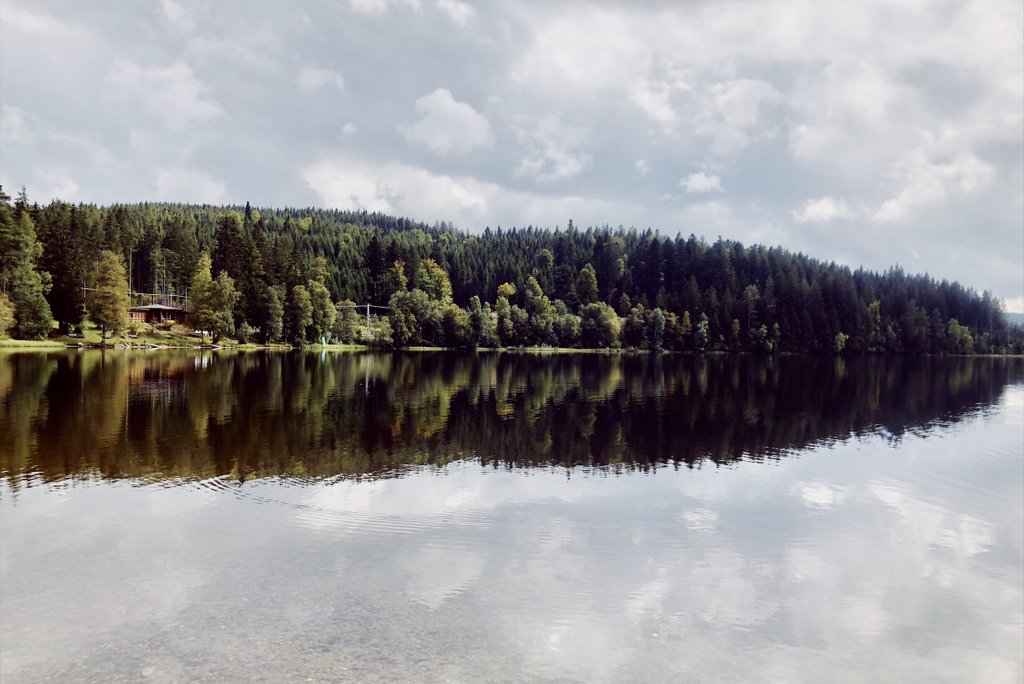 Schwarzwald-Kurztrip-Windgfaellweiher