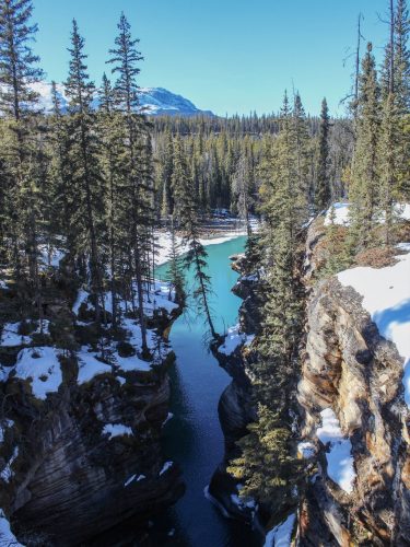 Jasper-Nationalpark-Sehenswuerdigkeiten-Athabasca-Falls