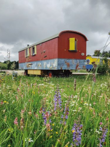 Hofgut-Hopfenburg-Glamping-Zirkuswagen