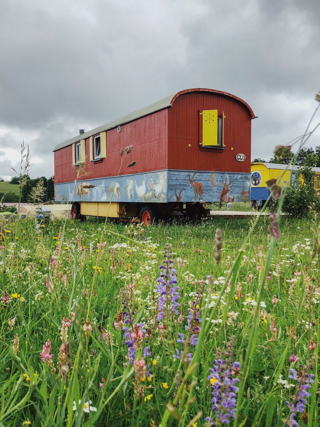 Hofgut-Hopfenburg-Glamping-Zirkuswagen