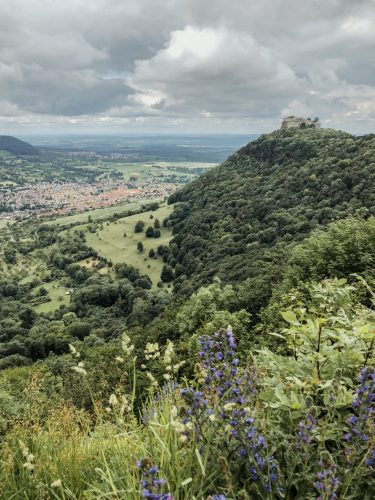 Hohenneuffen-wandern-Hochgehkeltert