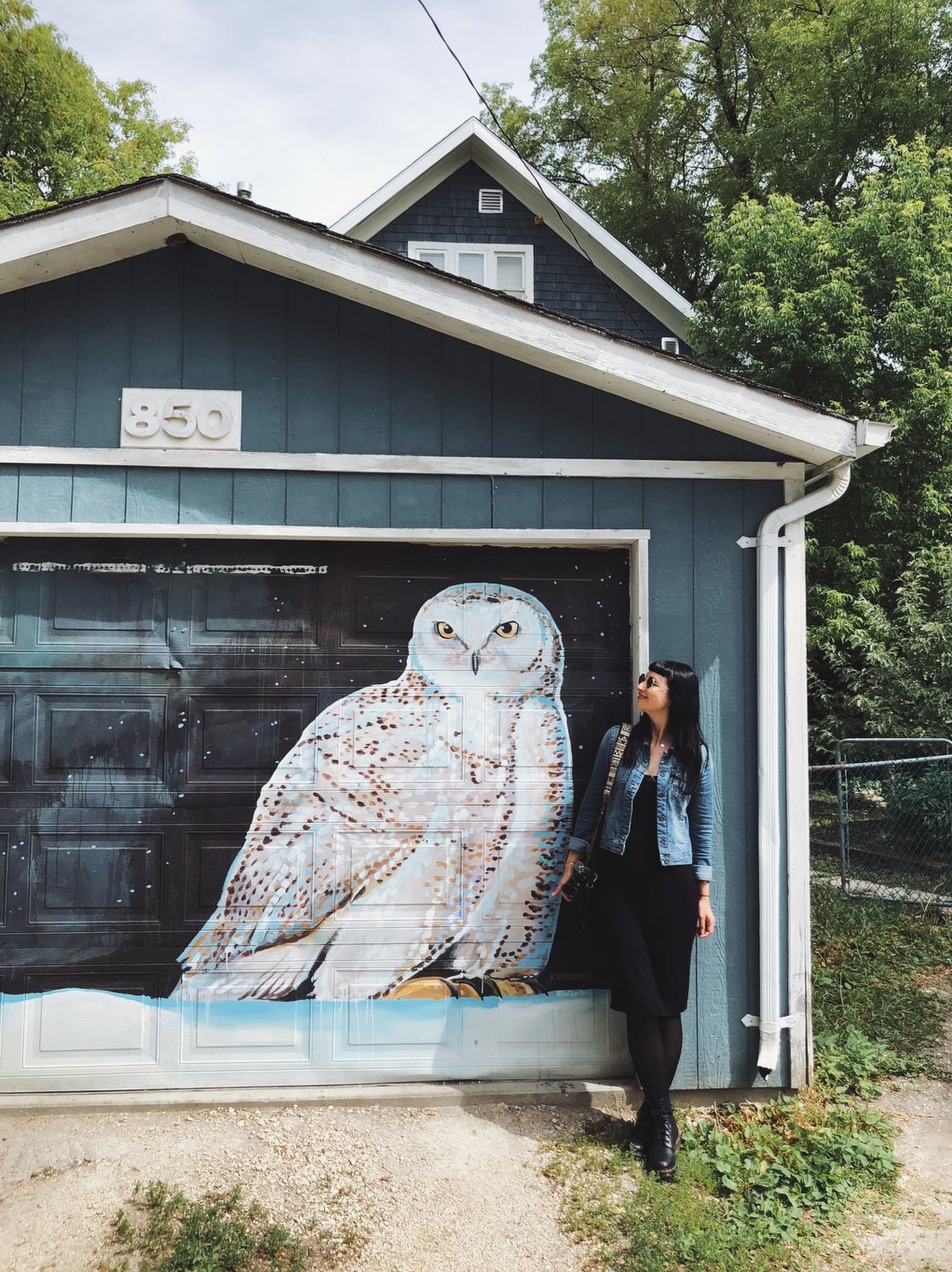 Winnipeg-Mural-Schneeeule-Kal-Barteski