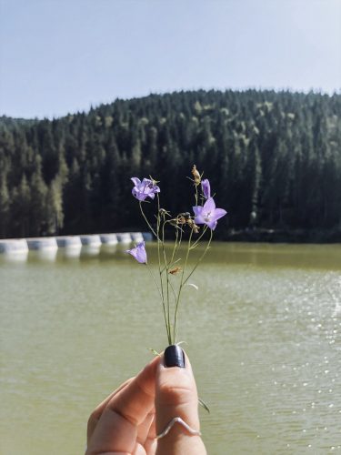 Linachtalsperre-Schwarzwald-Tipp