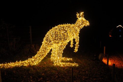 Christmas Garden Stuttgart weihnachtliche Wilhelma