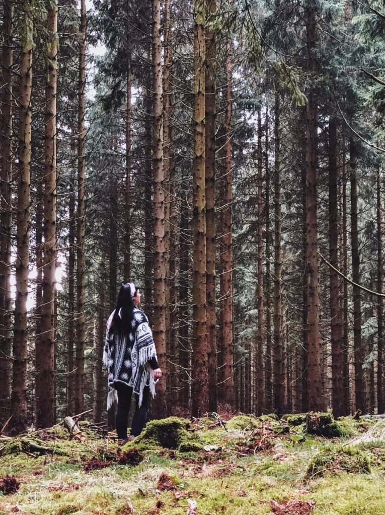 Harz wandern Nebensaison