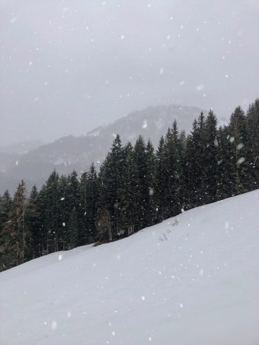 Early Bird Skifahren Fieberbrunn