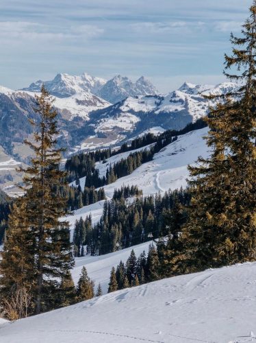 Kitzbuehel Kirchberg Winterlandschaft