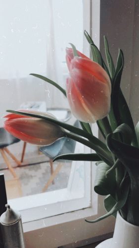 Home Office frische Blumen