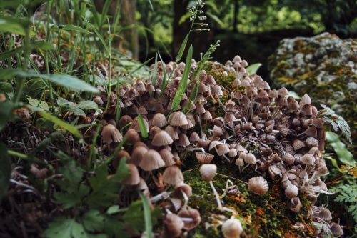 Maisental Bad Urach wandern