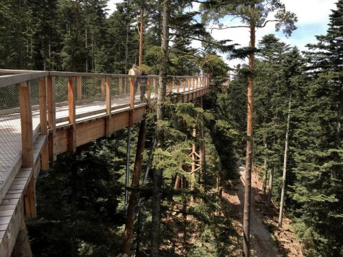 Baumwipfelpfad Schwarzwald Bad Wildbad