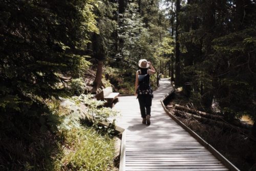 Mummelsee Rundweg Schwarzwald Tipps