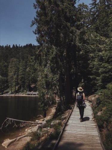 Mummelsee Schwarzwald Rundweg