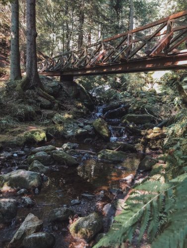 Ravennaschlucht Schwarzwald Urlaubstipps