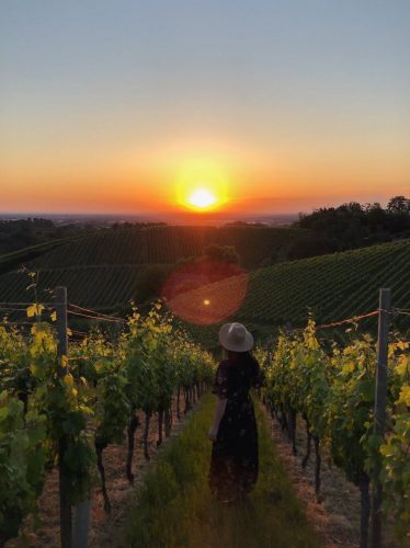 Sasbachwalden Schwarzwald Sonnenuntergang Weinberge