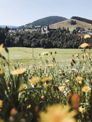 Schwarzwald Sommerurlaub