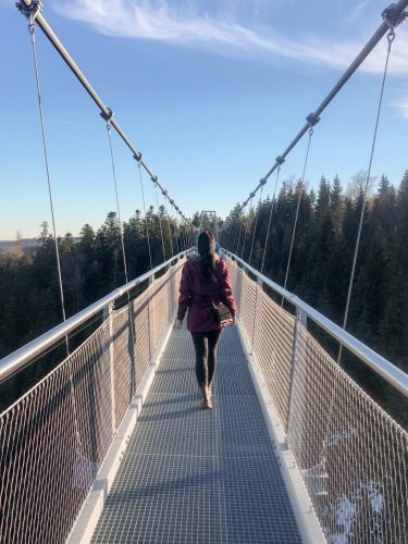 Schwarzwald Tipps Hängebruecke Wildline