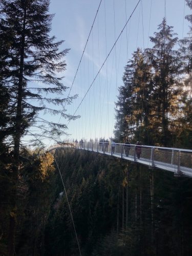 Schwarzwald Tipps Wildline