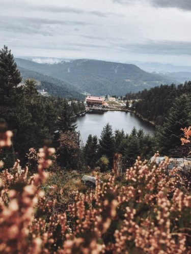 Schwarzwald Urlaub Tipps Mummelseeblick