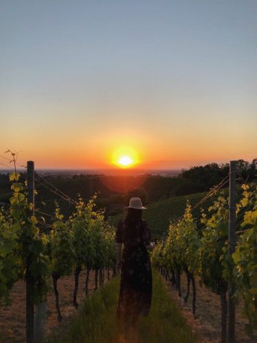 Sonnenuntergang Weinberge Sasbachwalden