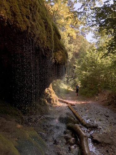 Wutachschlucht Schwarzwald wandern