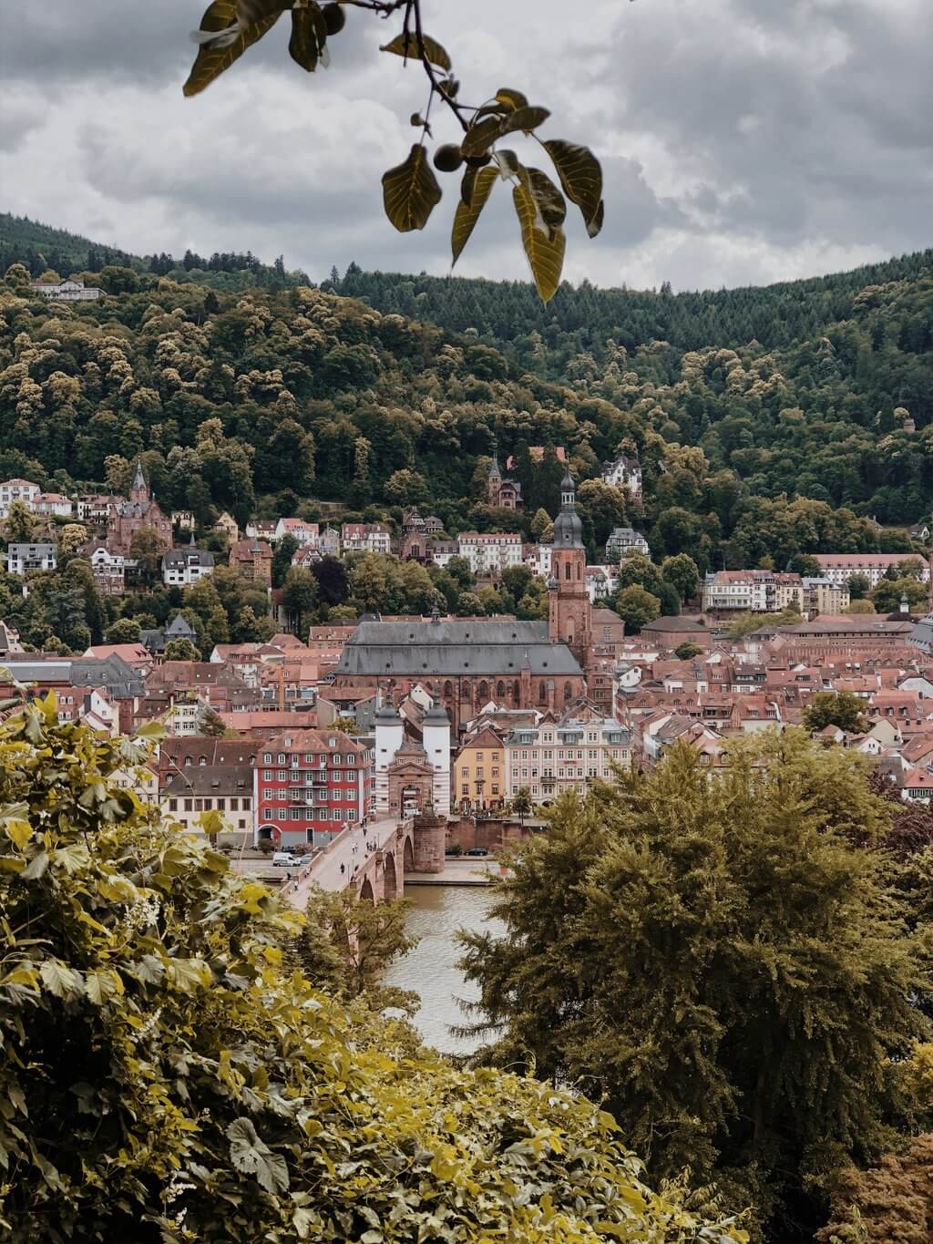 Heidelberg Geheimtipp Blick vom Schlangenweg
